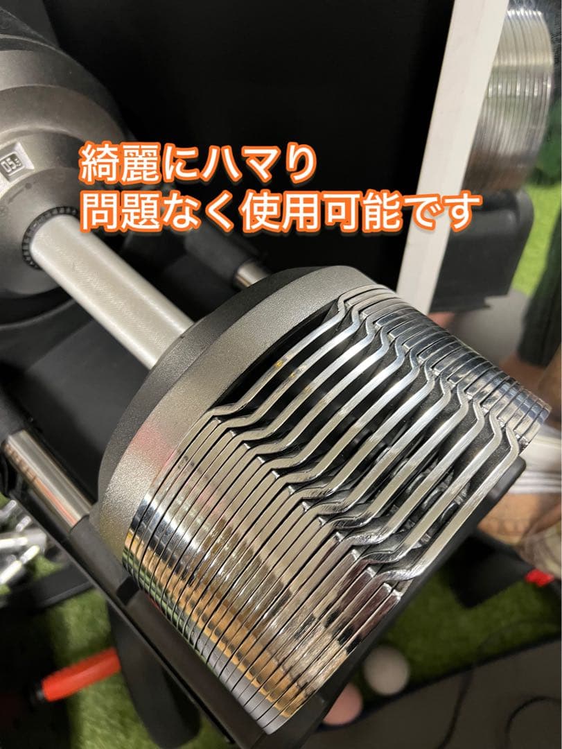 ③PROVERBELL （ プロバーベル ） 41.5kg 1.5kg刻み ◆