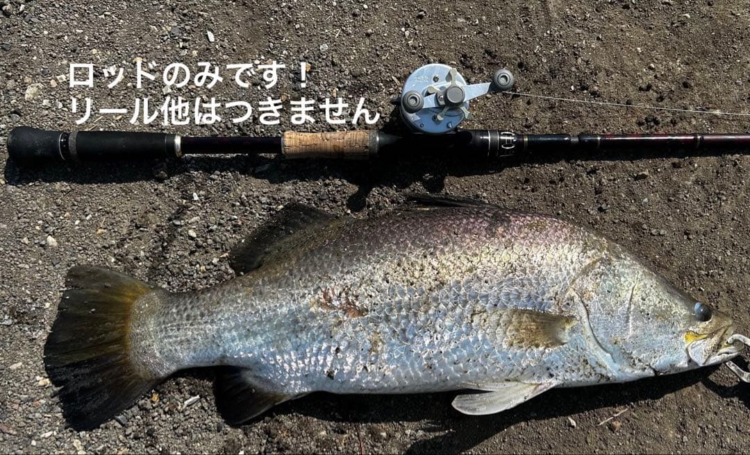 アブガルシア　ワールドモンスター ABU WORLD MONSTER 734H