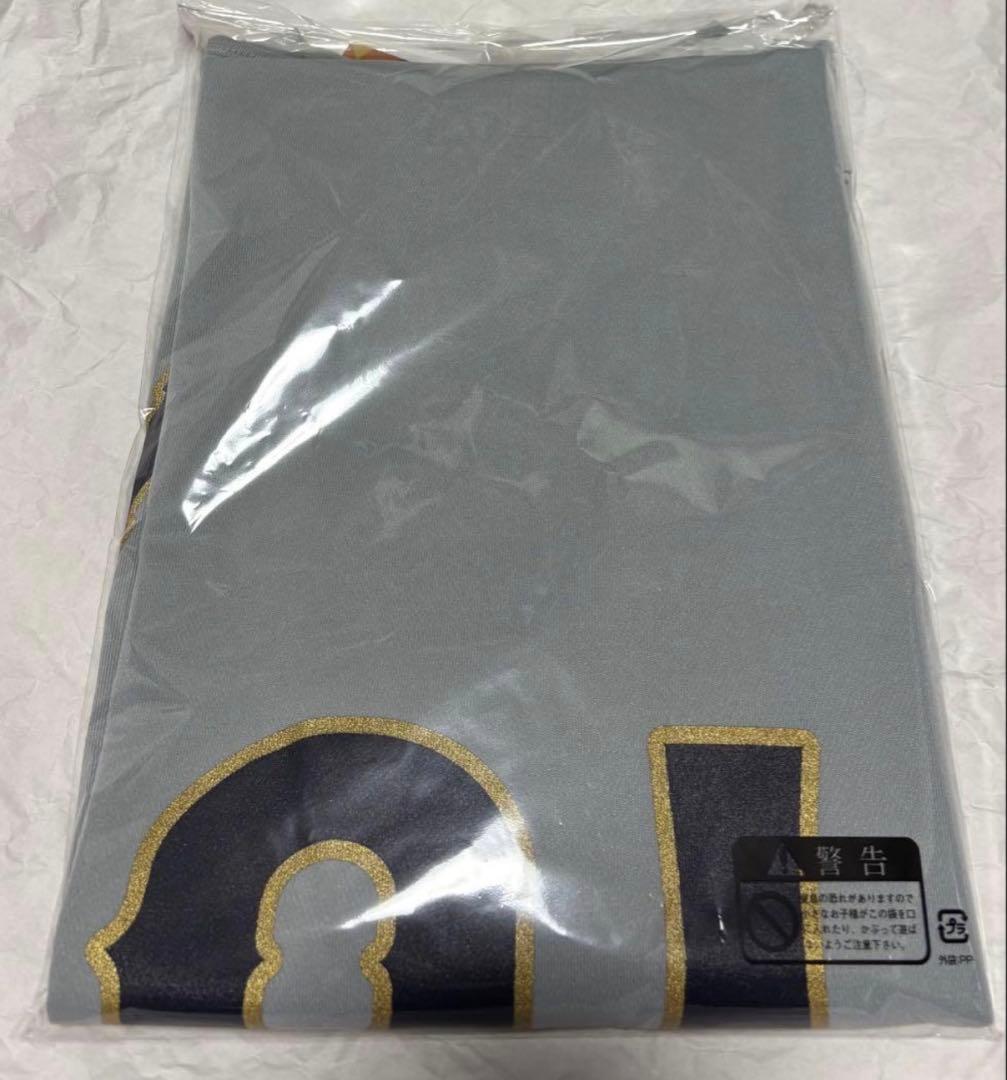 侍ジャパン 大谷翔平 Tシャツ 2026 WBC XL ミズノ 即日発送