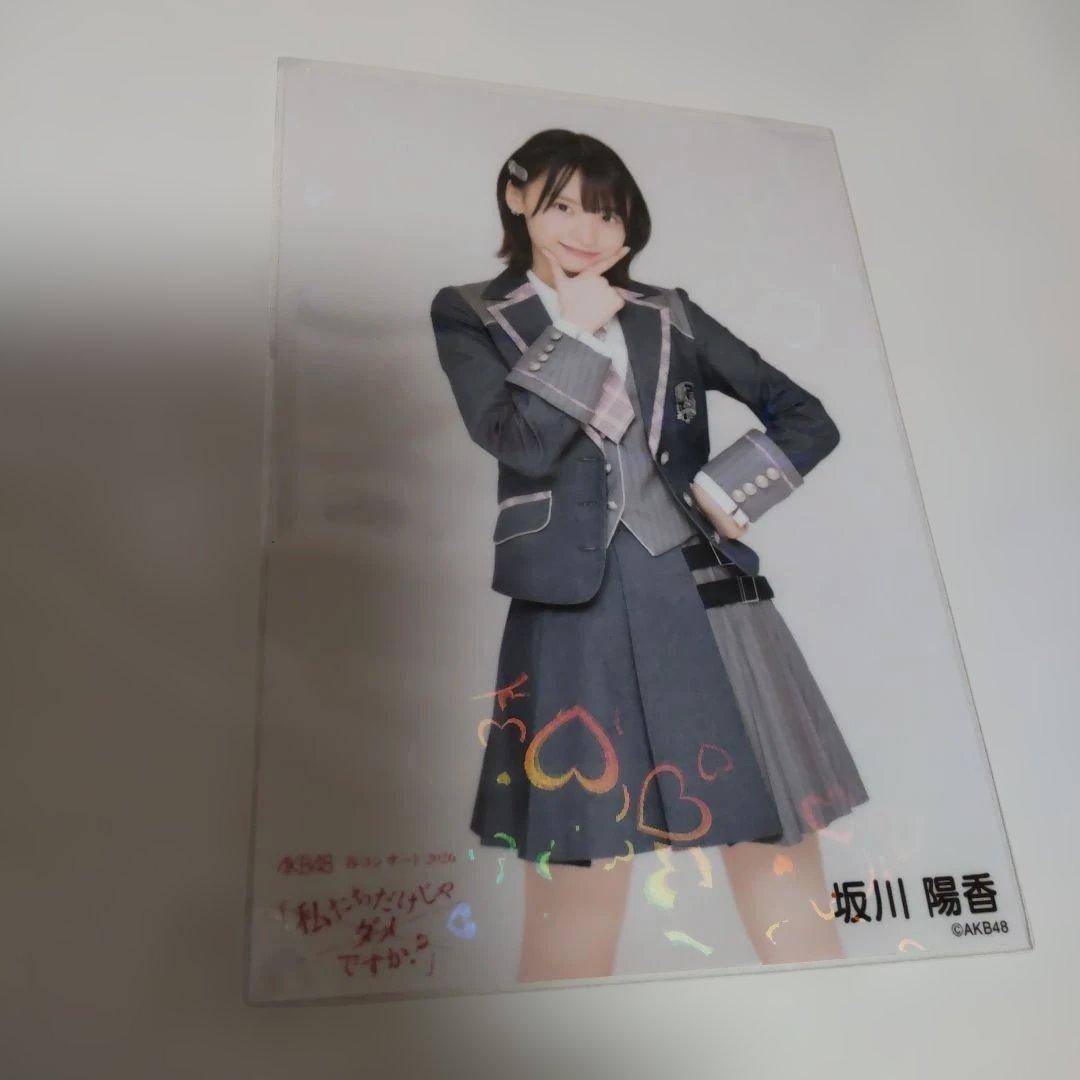 AKB48 春コンサート　2026 坂川陽香　ホログラム込み　4種コンプ　生写真