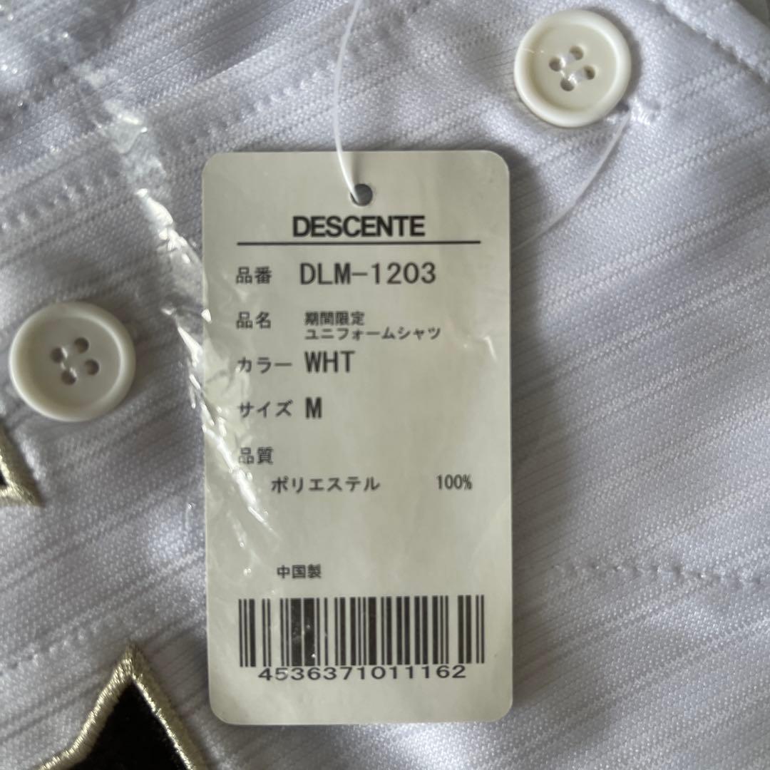 ロッテマリーンズ応援ユニフォーム DESCENTE ユニフォーム Mサイズ