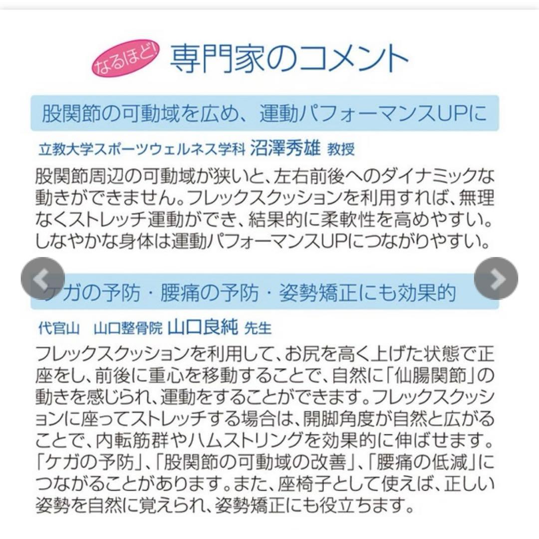【美品】サンテプラス・フレックスクッション（Flex Cushion）