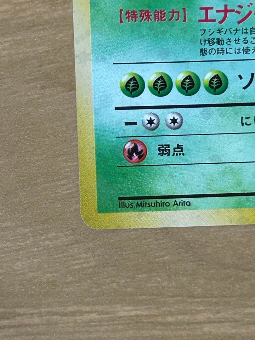 フシギバナ HP100 Lv.67 No.003