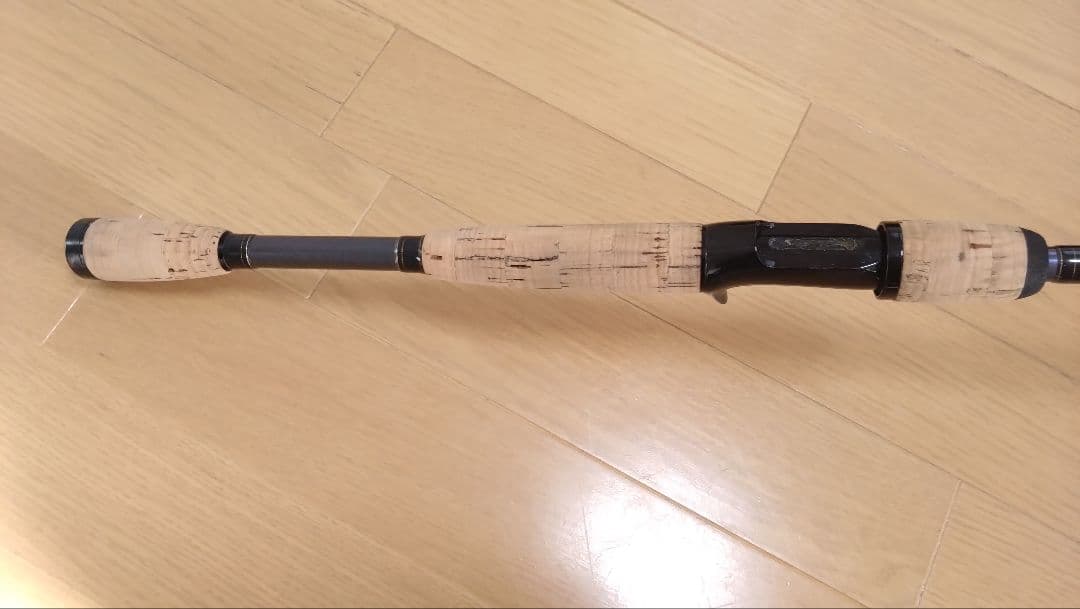 Fenwick フェンウィック テクナGP TAV-GP74CHJ　琵琶湖