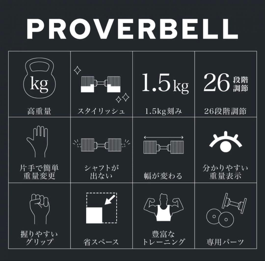 ライシン　プロバーベル ダンベル41.5kg×2　②