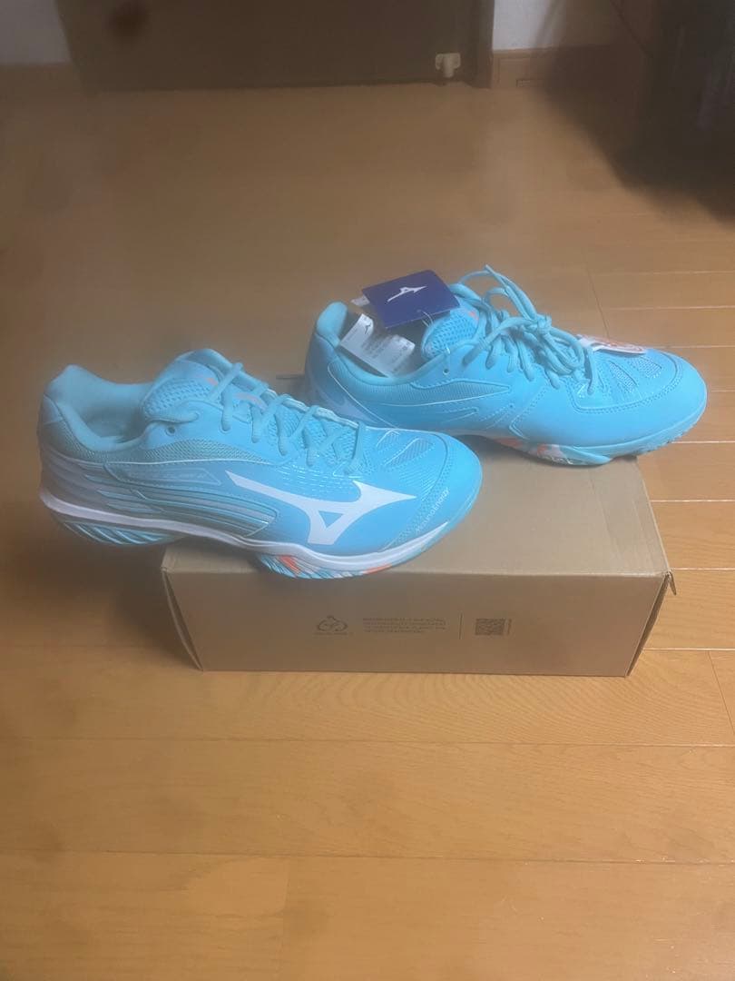 ミズノ　waveclaw 2fit 27cm 新品