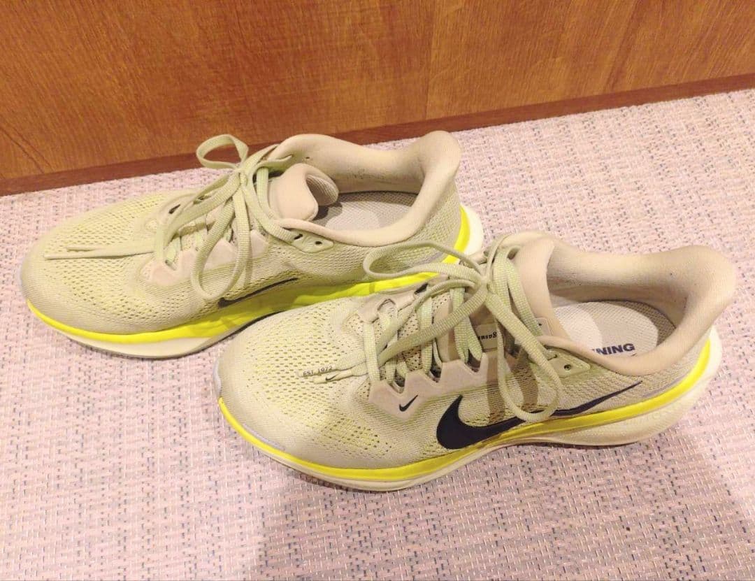 Nike ペガサス41 サイズ24