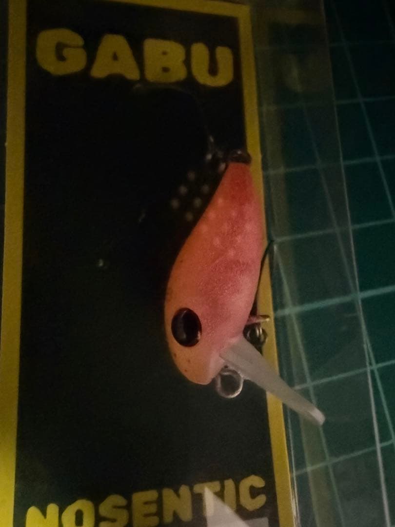 ノーセンティック　ディープパラドックス　ガブ　GABU24S アンノウン　緑龍