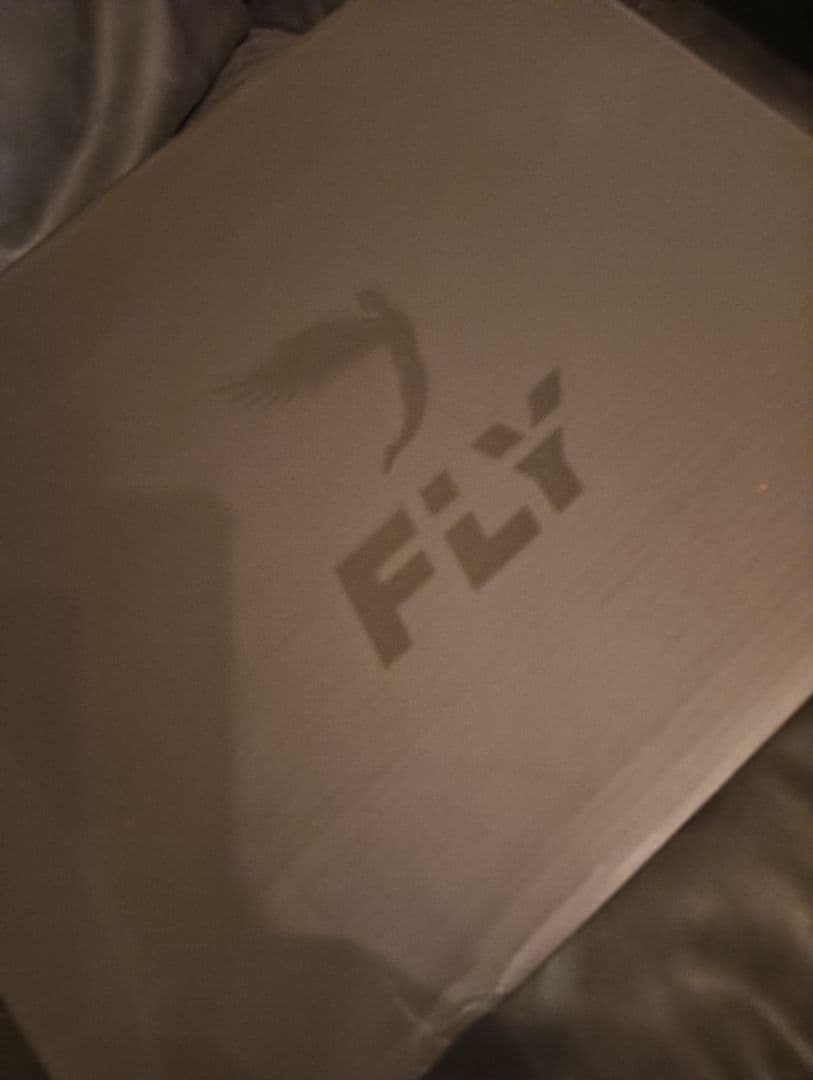新品未使用　ＦＬY フライ　ボクシングシューズ　タグ箱付き
