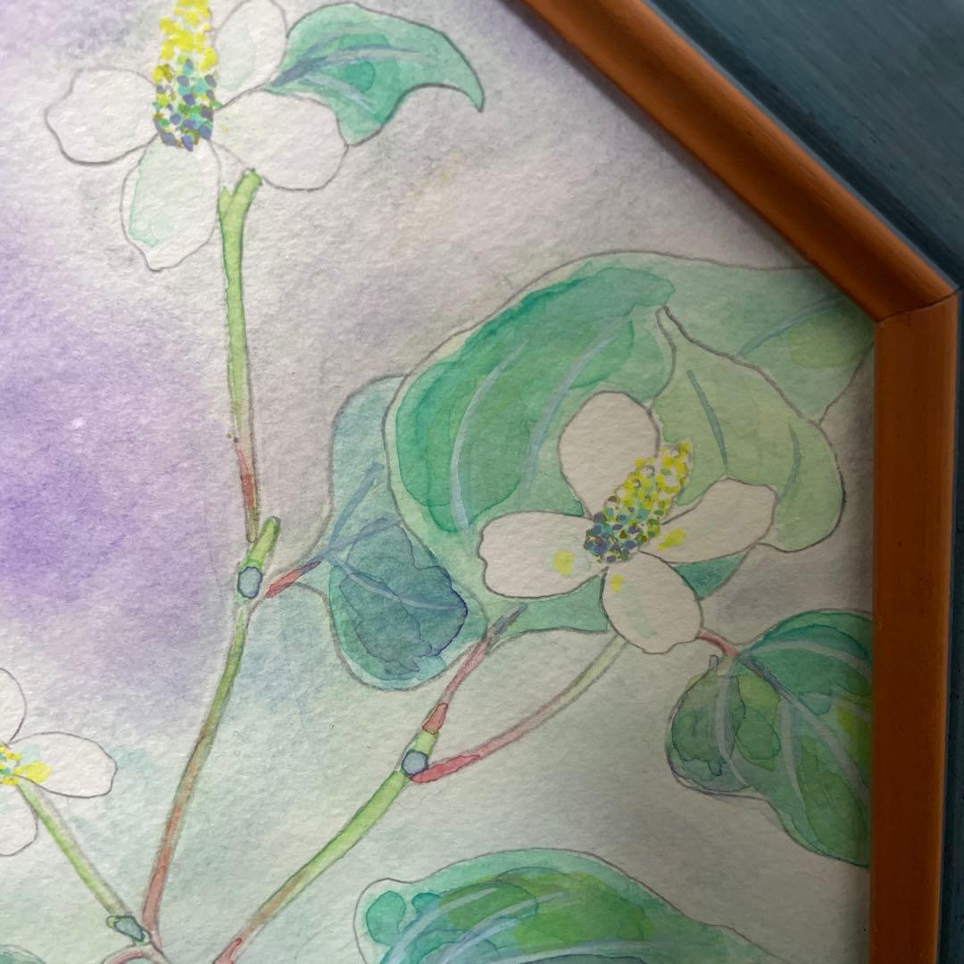額縁　八角形　植物水彩画　日本画