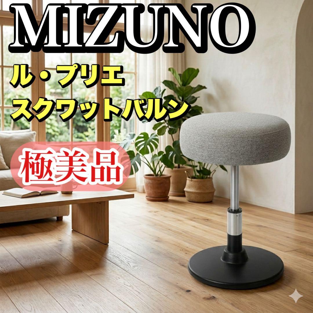 【極美品】MIZUNO ル・プリエ スクワットバルン C3JHI204 体幹強化