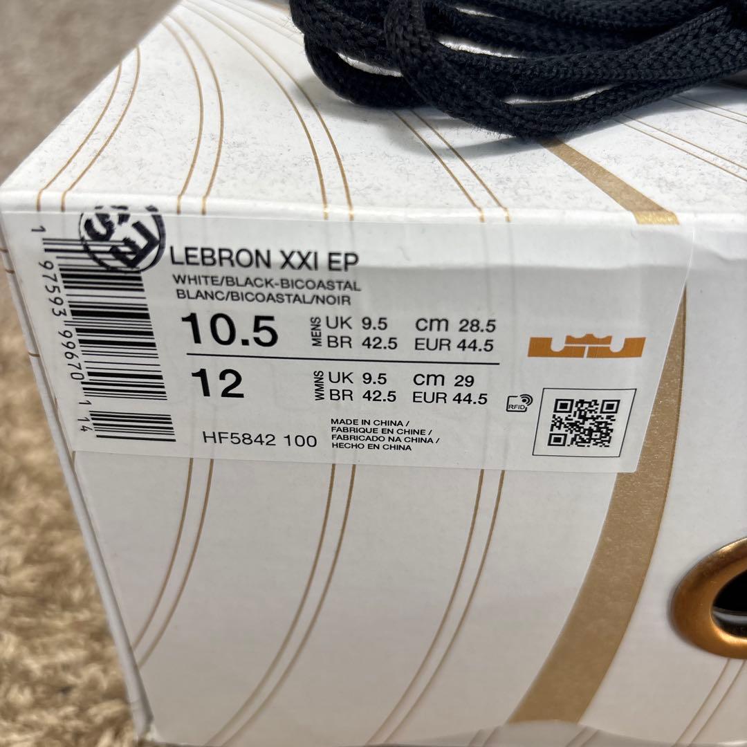 NIKE LEBRON XXⅡ EP 28.5cm