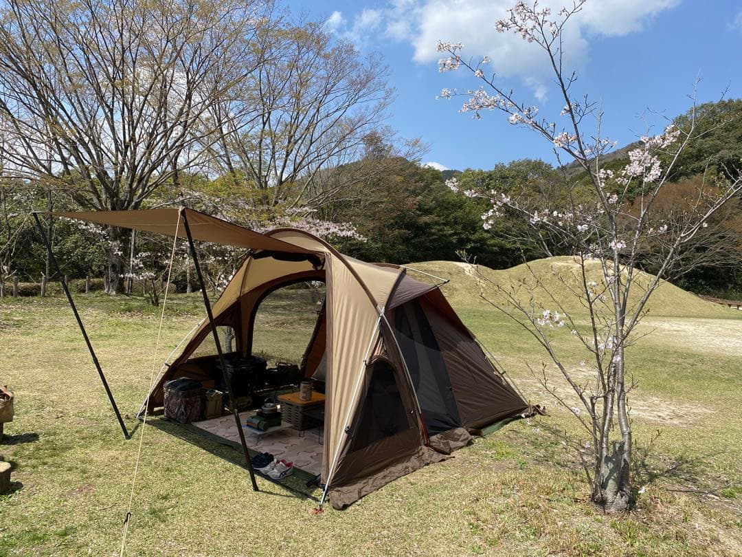 Ogawa ヴィガス 背面メッシュ仕様 2665