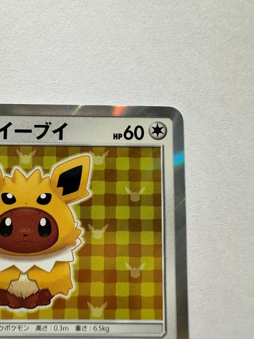 ポンチョを着たイーブイ　サンダース プロモ ポケモンカード