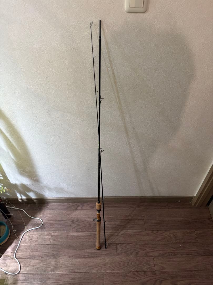 コロハル　テンリュウ レイズ RZ75M-BC