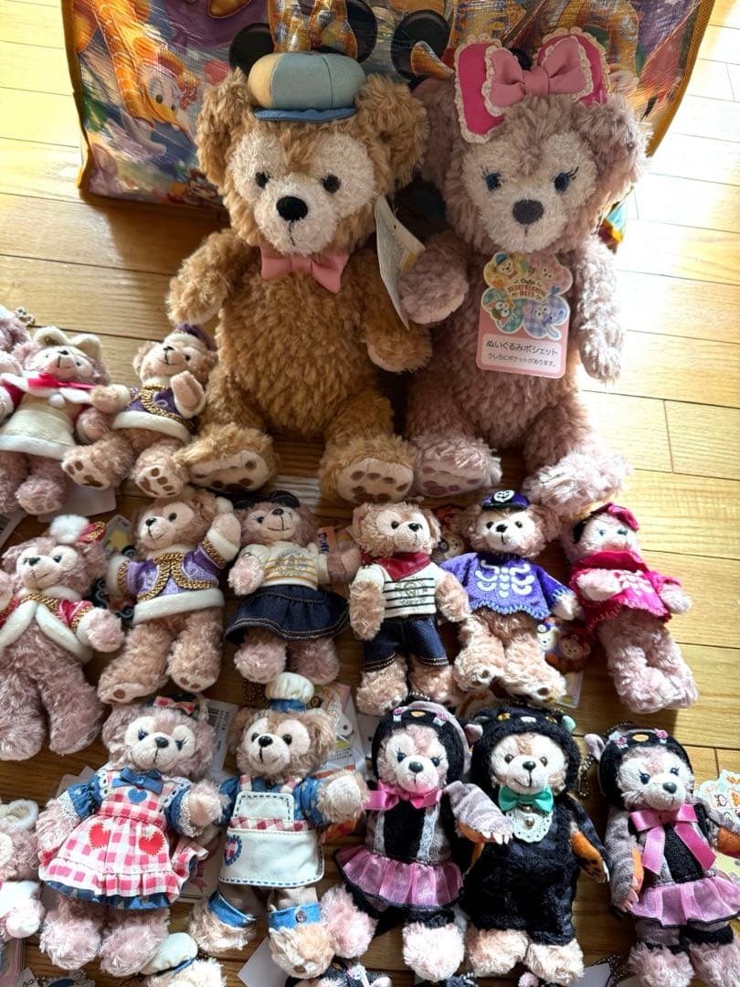 TDS ダッフィー　シェリーメイ　ぬいぐるみバッジ　ポシェット　新品　ディズニー