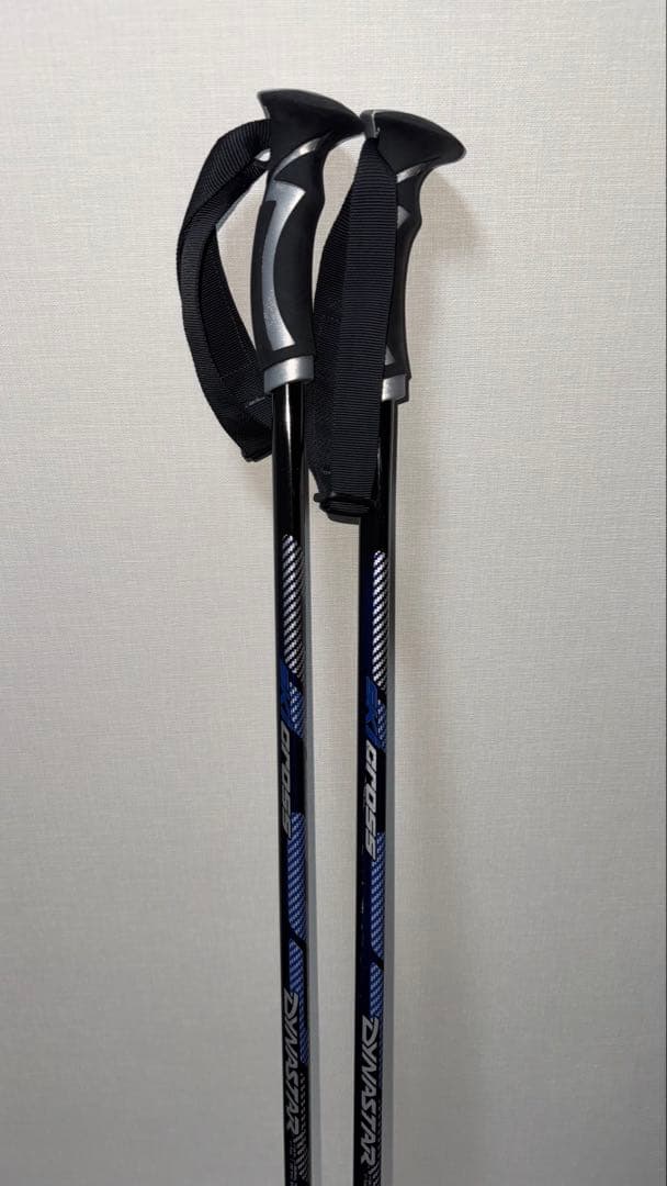 【ケース付き】Dynastar（172cm）＋ DYNASTAR ストック