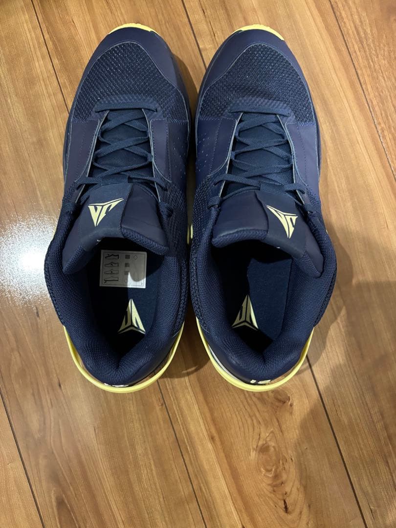 シューズ(男性用) NIKE JA 1 32cm