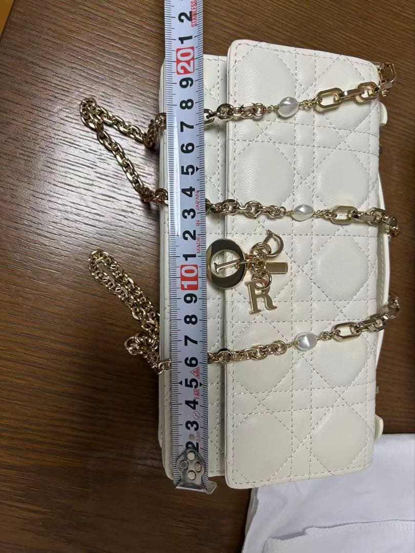 Christian Dior Talk フォンバッグ