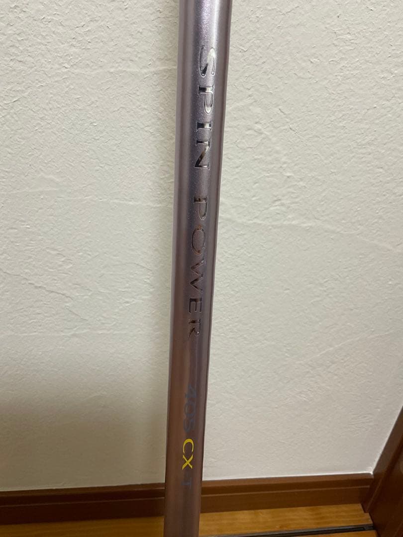 スピンパワー