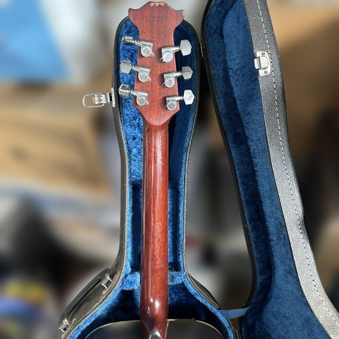 Morris Tornado XXエレアコ　アコースティックギター　アコギ