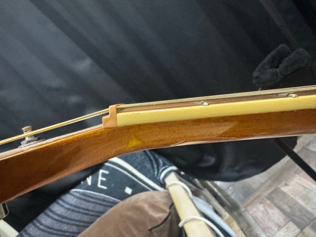 ibanez EW20ASENT1202 エレアコ ソフトケース付き