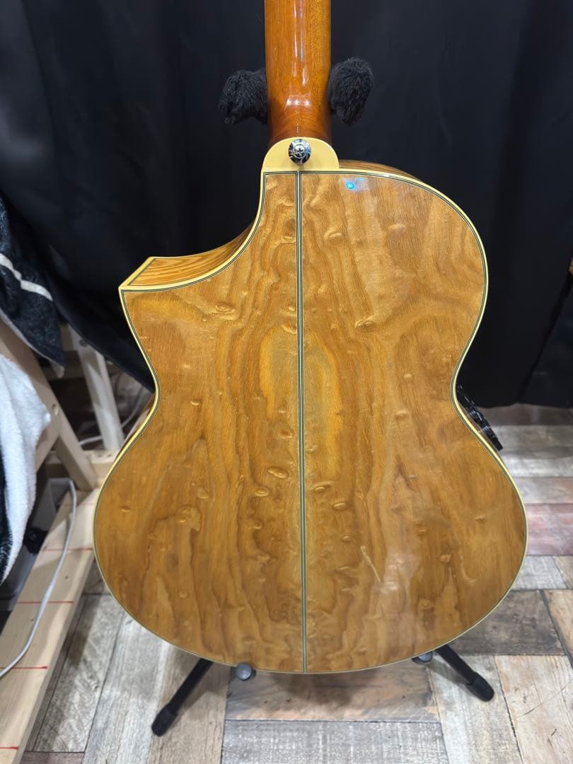 ibanez EW20ASENT1202 エレアコ ソフトケース付き