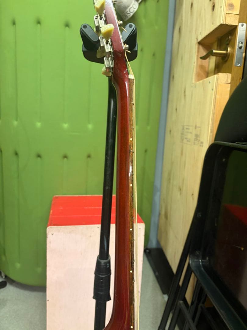 Stafford SAD1000アコースティックギター レッド ハードケース付き