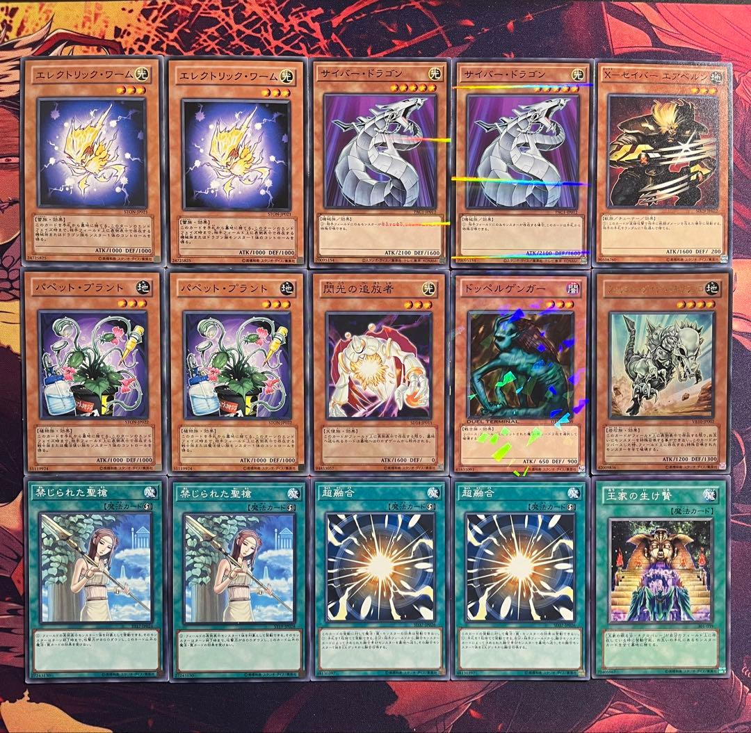 遊戯王　1103環境　構築済デッキ　No.50 墓守