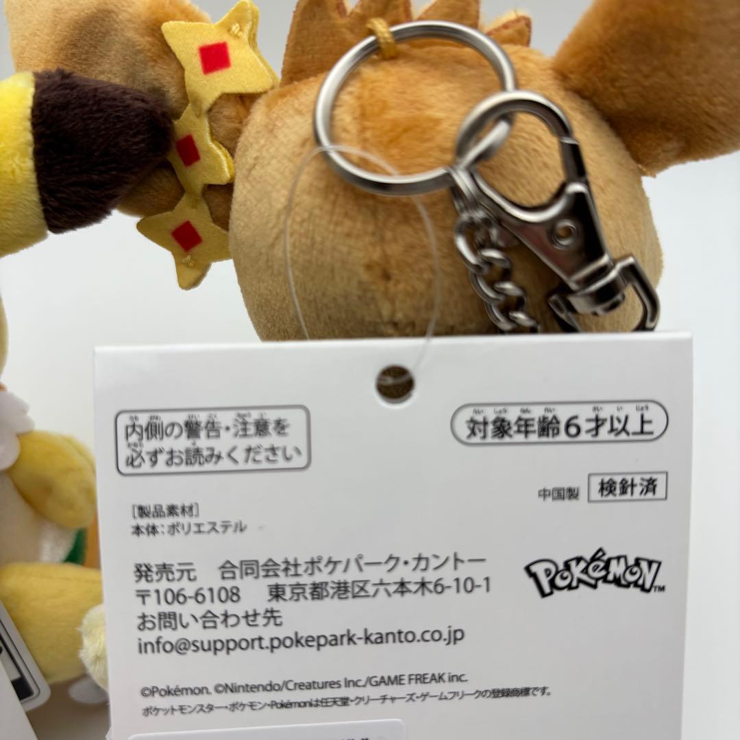 ポケパーク限定 カーニバル 花飾り ピカチュウ イーブイ キーホルダー