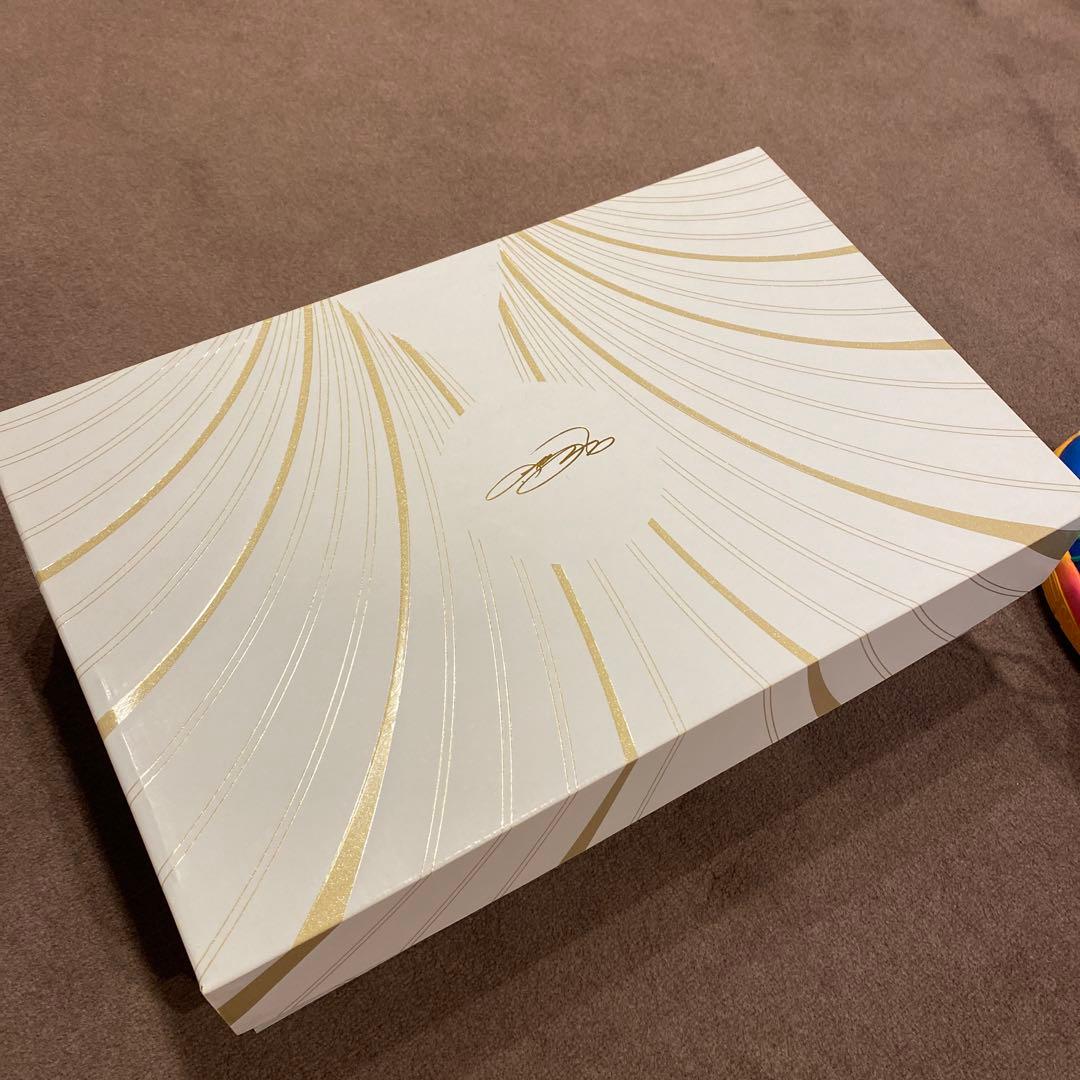 レブロン21 XXI EP マルチカラー 28cm 完売品