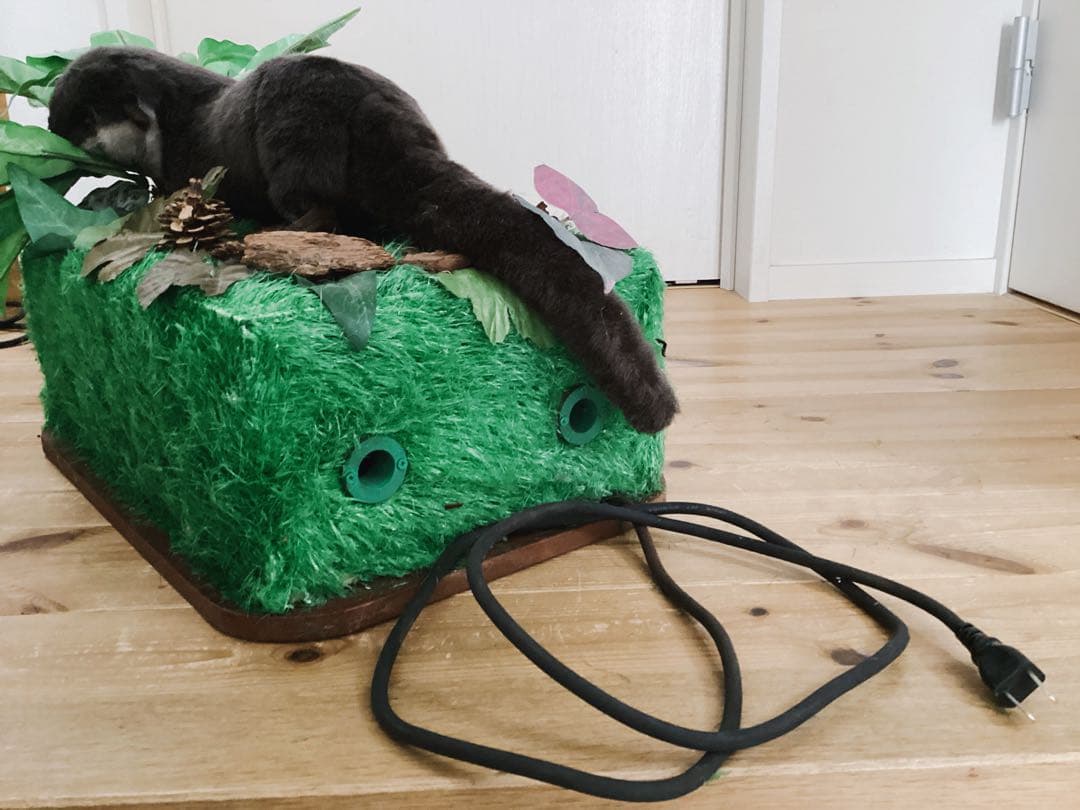 【Mamere】ディスプレイ販売品カワウソ定価209000円　※電動稼働