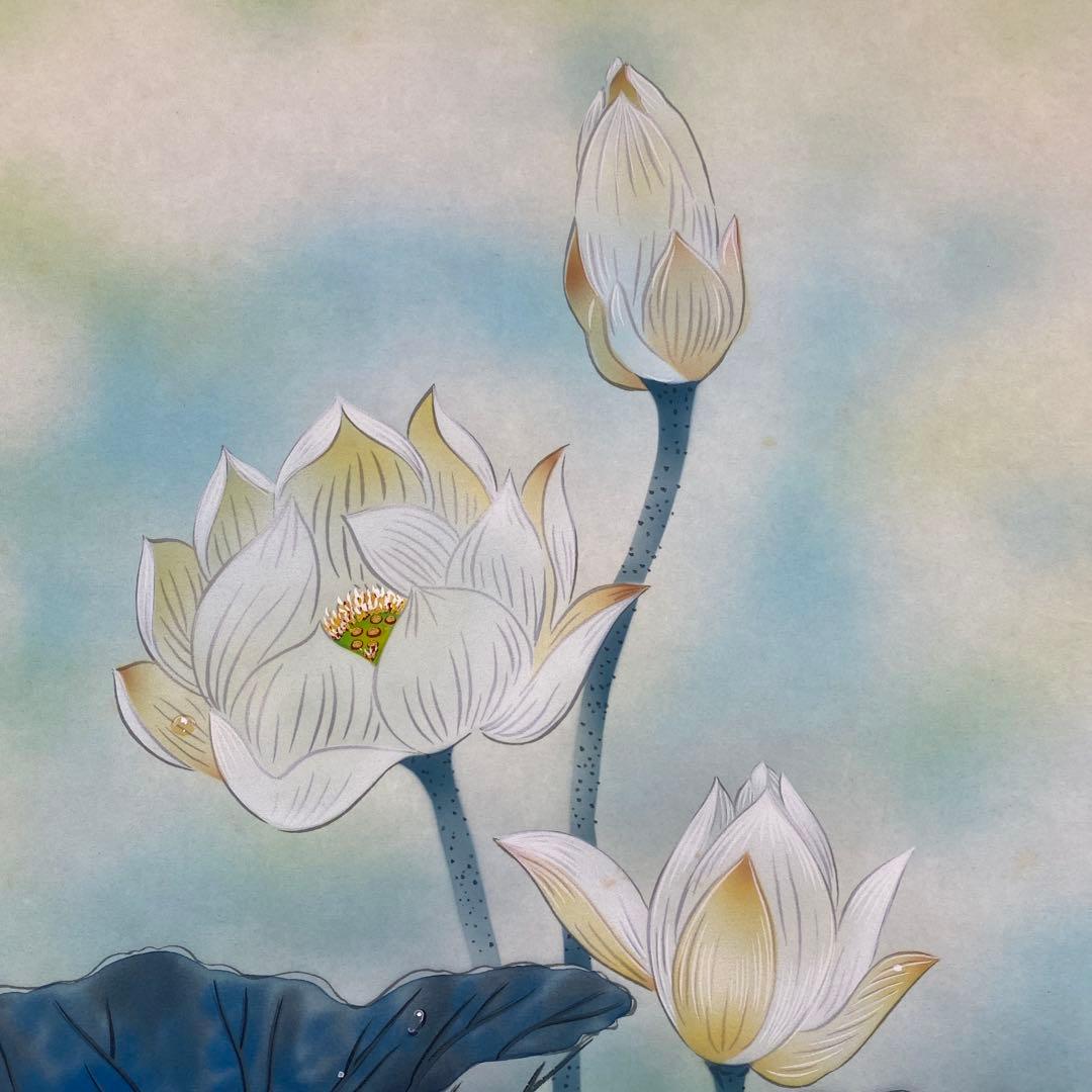 美品 掛け軸 棚田清光作 黎明白蓮華図 共箱 縁起物 極楽浄土