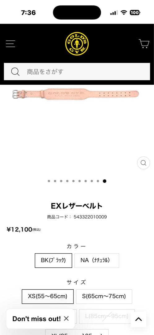 GOLD'S GYM EXレザーベルトXS