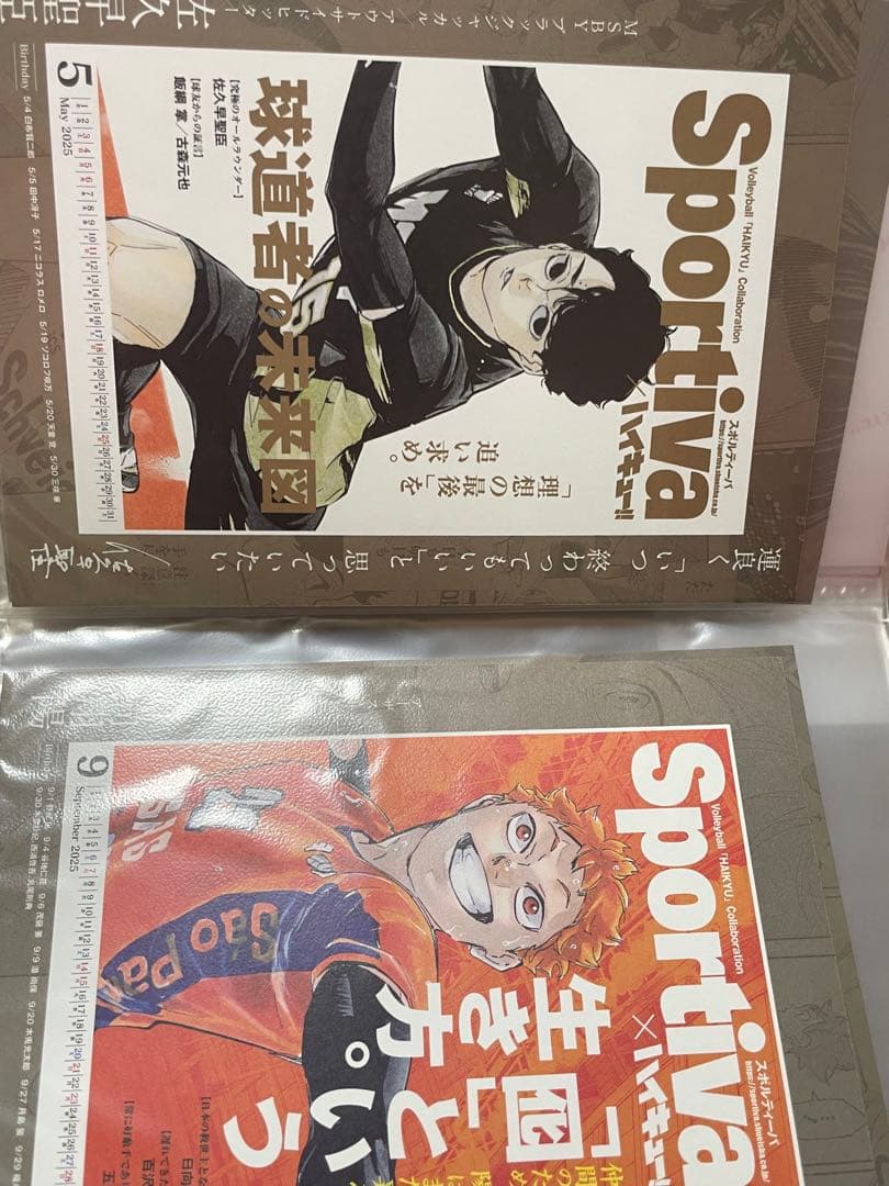 ハイキュー　クロニクル　アクリルスタンド　カード　ケース付き　全種　その他