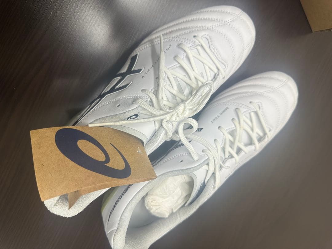 asics DS LIGHT X-FLY5 27センチ　未使用品