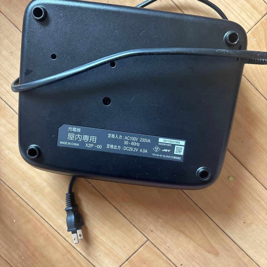 Li-Ionバッテリー充電器 AC 100V-230V