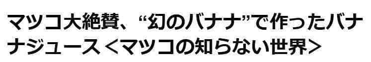 糖度の鬼◆140㎝巨大◆超、ドワーフ＝キングナムワ。バナナ苗◆耐寒強、関東露地