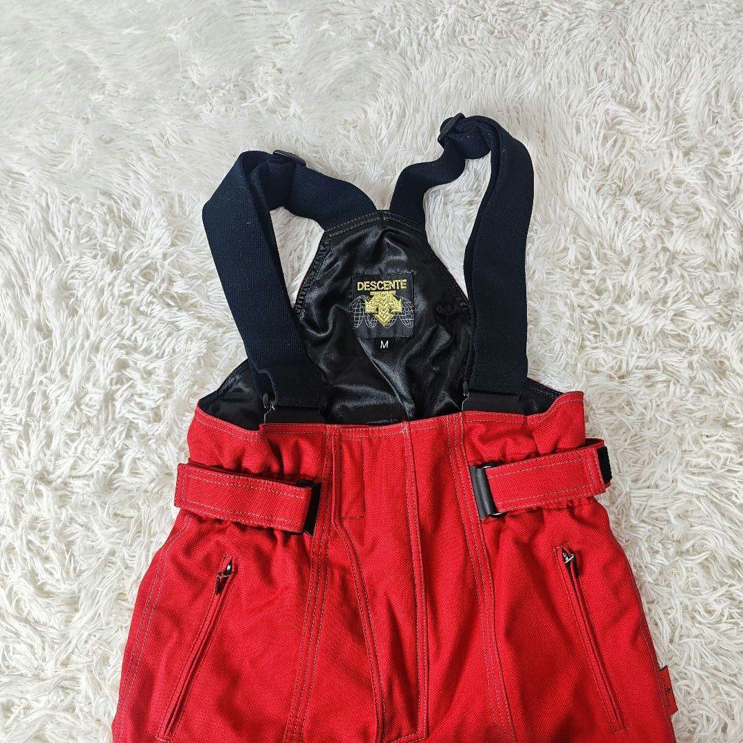 【極美品】DESCENTE スキーウェア上下 メンズM Dermizax