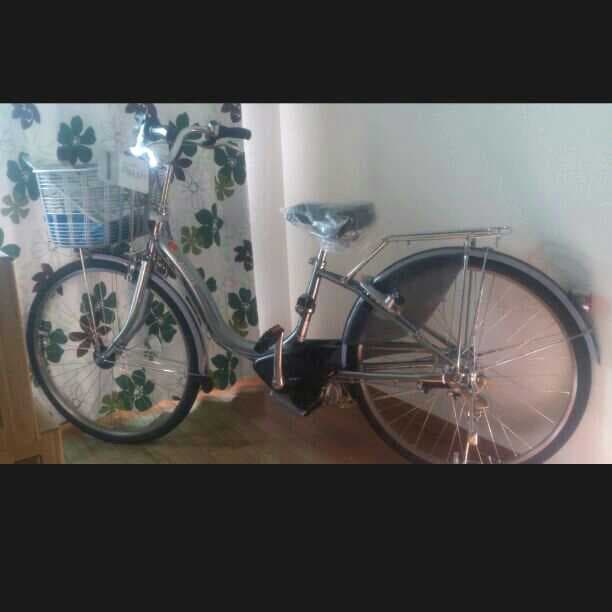 電動式自転車