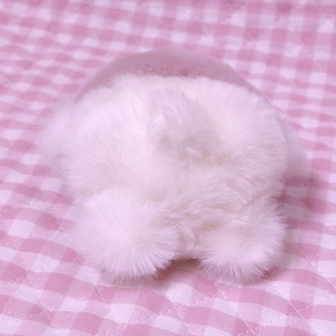 ひびの→ぬい写真家_（：3」4）_ ページ