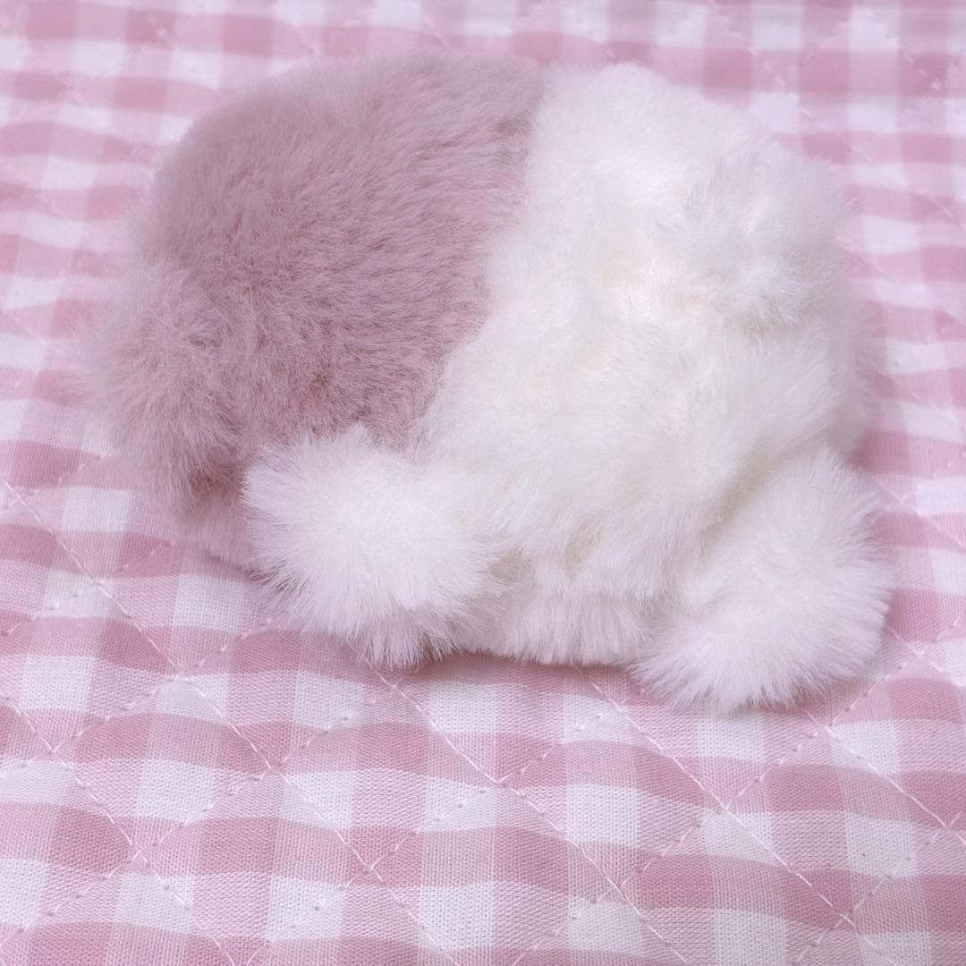 ひびの→ぬい写真家_（：3」4）_ ページ