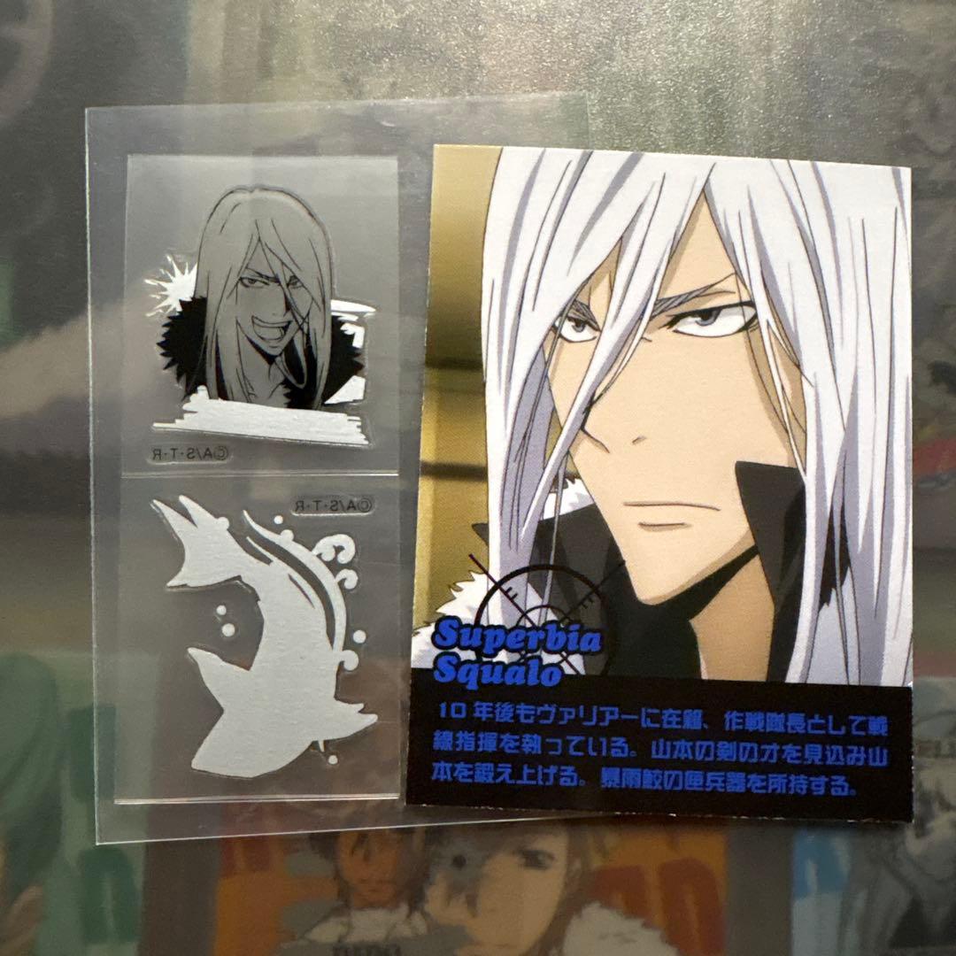家庭教師ヒットマンREBORN!　リアルペイントシート2 スクアーロ