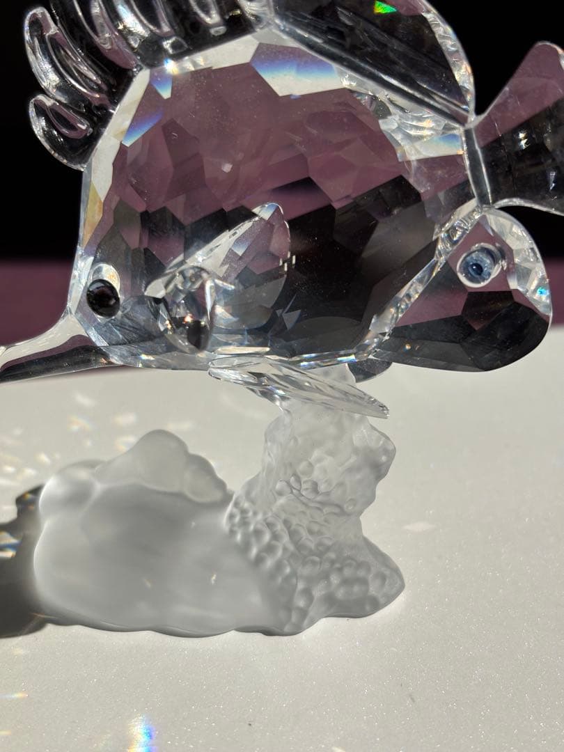 未使用品☆スワロフスキー　クリスタル ガラス　フエヤッコダイ　SWAROVSKI