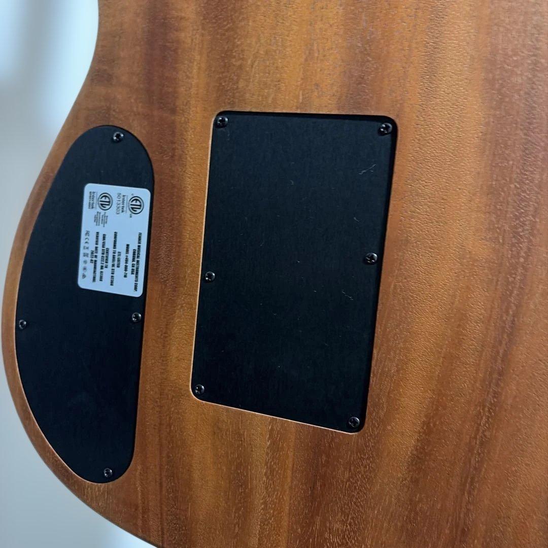 ギター Fender American Acoustasonic paisley