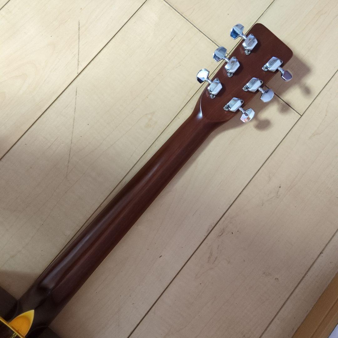 Morris アコースティックギター W-25