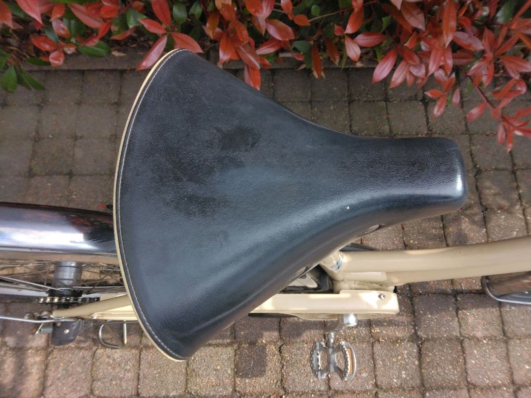 値下げ不可　YAMAHA PAS mina　ベージュカラー