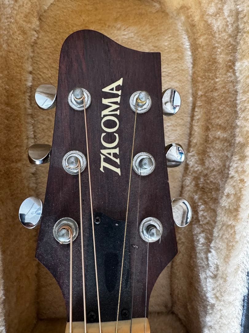 【Tacoma C1C USA製 エレアコ】