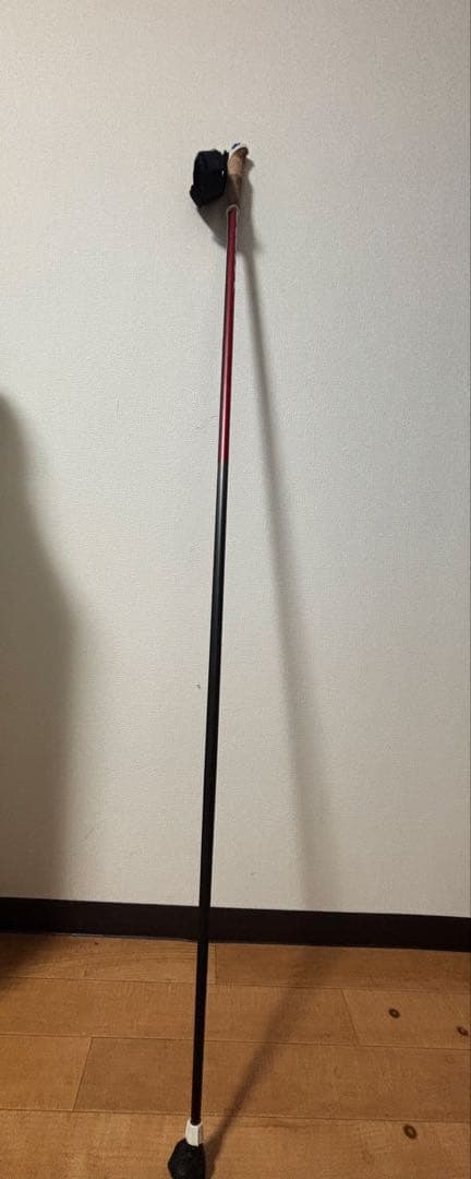 SWIX Traiac 4.0 AERO 150cm 片方のみ