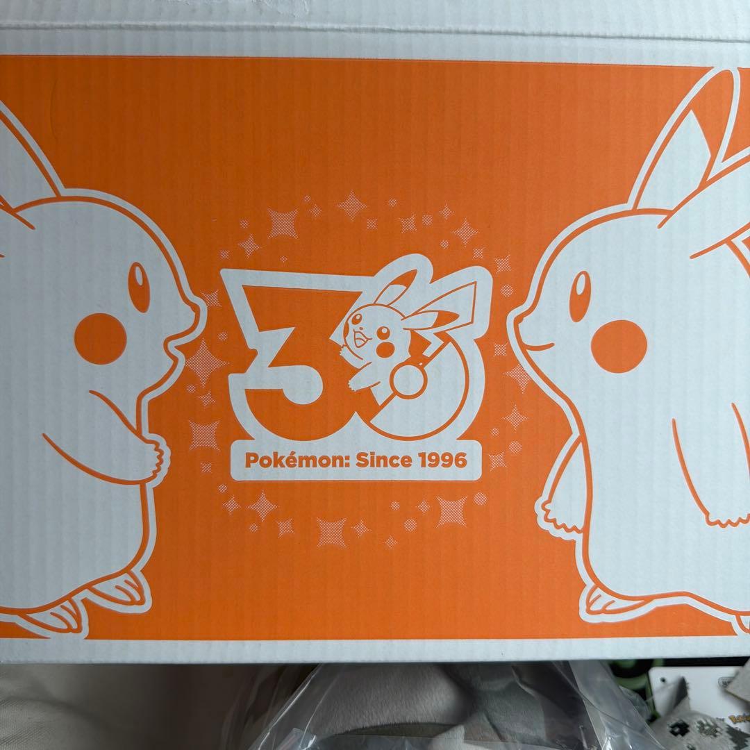タグ付き新品 記念箱 はじまりのピカチュウ　マスコット　ぬいぐるみ　2点セット